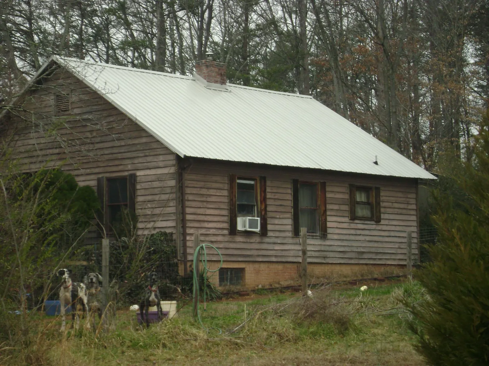 White metal roof on an old wood sided farmhouse, from a Asphalt Shingle Roof Repair job in Grand Ridge